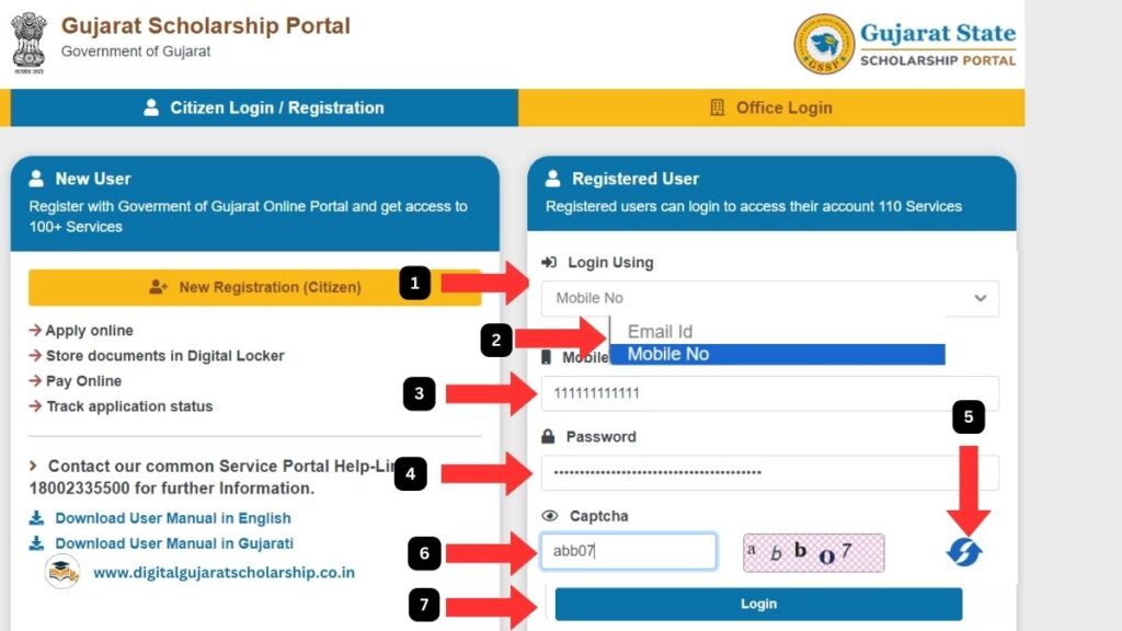 how to check digital gujarat scholarship status